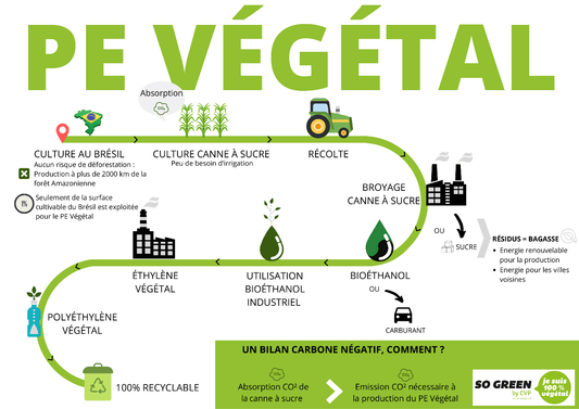 QU’EST CE QUE LE PLASTIQUE VÉGÉTAL ? - Eryam