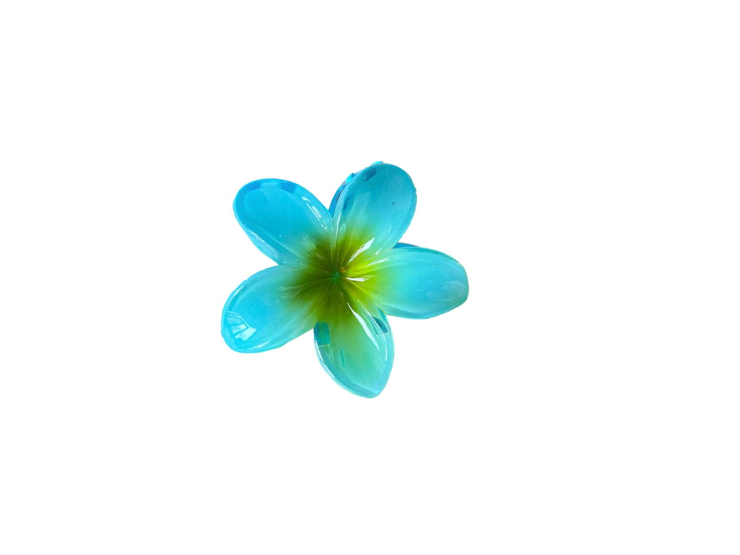 PINCES FLEURS