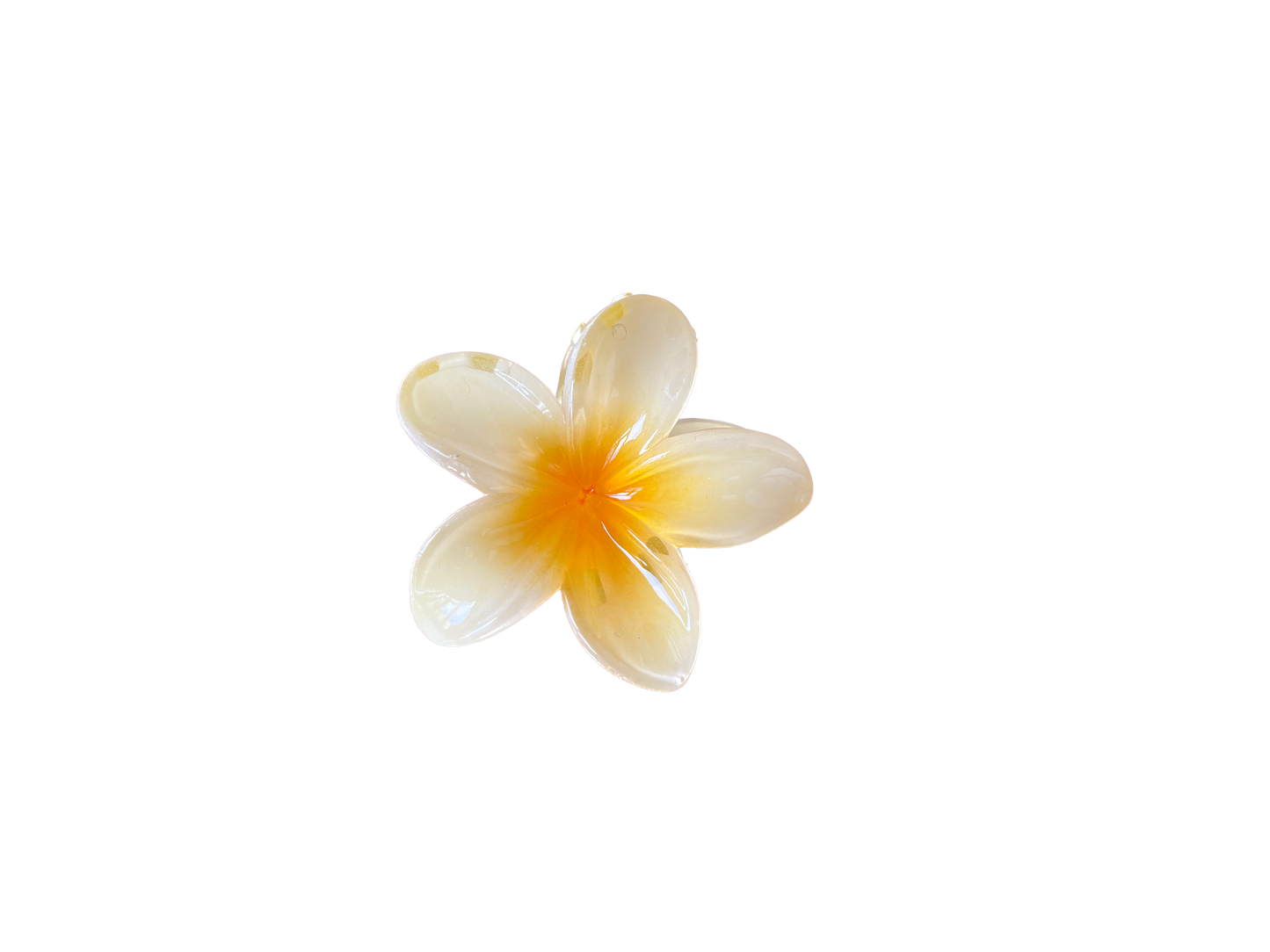 PINCES FLEURS