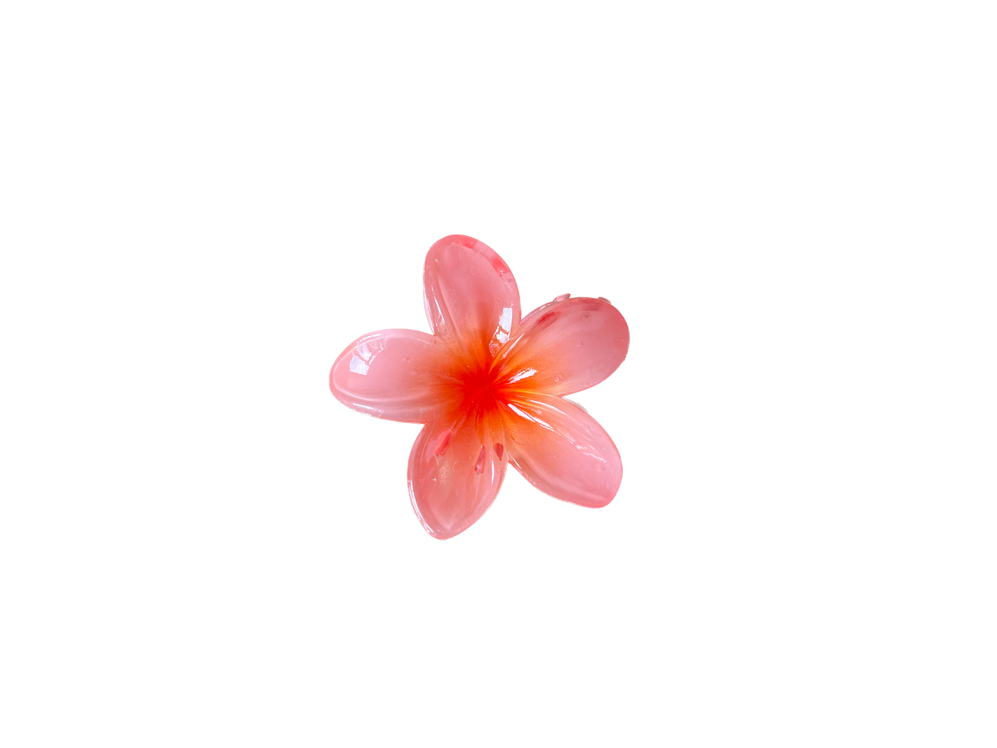 PINCES FLEURS