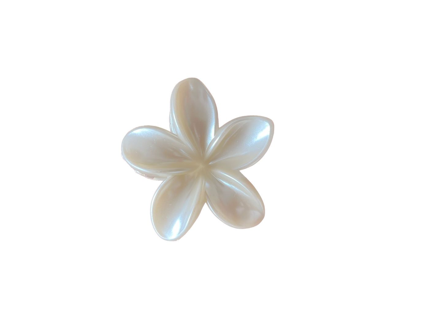 PINCES FLEURS